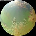 ./images/calvert/underwater/20260805/underwater20260805_093001M.jpg