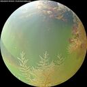 ./images/calvert/underwater/20260805/underwater20260805_093501M.jpg