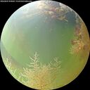 ./images/calvert/underwater/20260805/underwater20260805_094001M.jpg