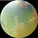./images/calvert/underwater/20260805/underwater20260805_095501M.jpg