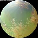 ./images/calvert/underwater/20260805/underwater20260805_100001M.jpg
