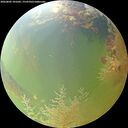 ./images/calvert/underwater/20260805/underwater20260805_101001M.jpg