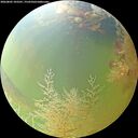 ./images/calvert/underwater/20260805/underwater20260805_103501M.jpg