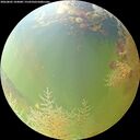 ./images/calvert/underwater/20260805/underwater20260805_104001M.jpg