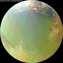 ./images/calvert/underwater/20260805/underwater20260805_104501M.jpg