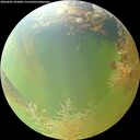 ./images/calvert/underwater/20260805/underwater20260805_105001M.jpg