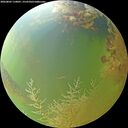 ./images/calvert/underwater/20260805/underwater20260805_110001M.jpg