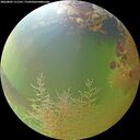 ./images/calvert/underwater/20260805/underwater20260805_111501M.jpg