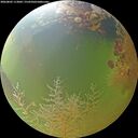 ./images/calvert/underwater/20260805/underwater20260805_113002M.jpg