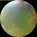./images/calvert/underwater/20260805/underwater20260805_114001M.jpg