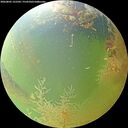 ./images/calvert/underwater/20260805/underwater20260805_122501M.jpg