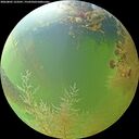 ./images/calvert/underwater/20260805/underwater20260805_123501M.jpg