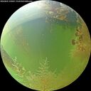 ./images/calvert/underwater/20260805/underwater20260805_124001M.jpg