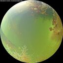 ./images/calvert/underwater/20260805/underwater20260805_134501M.jpg