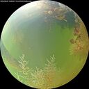 ./images/calvert/underwater/20260805/underwater20260805_140002M.jpg
