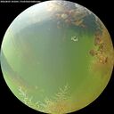 ./images/calvert/underwater/20260805/underwater20260805_141001M.jpg
