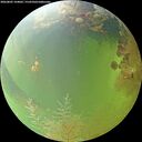 ./images/calvert/underwater/20260805/underwater20260805_144001M.jpg