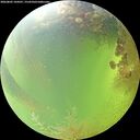 ./images/calvert/underwater/20260805/underwater20260805_144501M.jpg