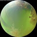 ./images/calvert/underwater/20260805/underwater20260805_151001M.jpg