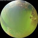 ./images/calvert/underwater/20260805/underwater20260805_152001M.jpg