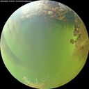 ./images/calvert/underwater/20260805/underwater20260805_153501M.jpg