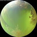 ./images/calvert/underwater/20260805/underwater20260805_154001M.jpg