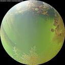 ./images/calvert/underwater/20260805/underwater20260805_154501M.jpg