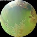 ./images/calvert/underwater/20260805/underwater20260805_155501M.jpg