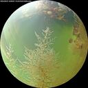 ./images/calvert/underwater/20260805/underwater20260805_160001M.jpg