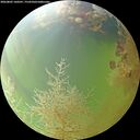 ./images/calvert/underwater/20260805/underwater20260805_160501M.jpg