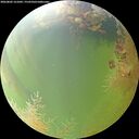 ./images/calvert/underwater/20260805/underwater20260805_161002M.jpg