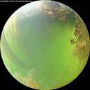 ./images/calvert/underwater/20260805/underwater20260805_161501M.jpg