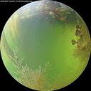 ./images/calvert/underwater/20260805/underwater20260805_162001M.jpg