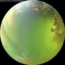 ./images/calvert/underwater/20260805/underwater20260805_162501M.jpg
