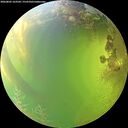 ./images/calvert/underwater/20260805/underwater20260805_163501M.jpg