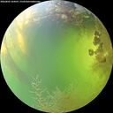 ./images/calvert/underwater/20260805/underwater20260805_164501M.jpg