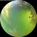 ./images/calvert/underwater/20260805/underwater20260805_165001M.jpg