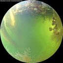 ./images/calvert/underwater/20260805/underwater20260805_165501M.jpg