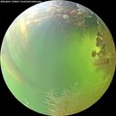 ./images/calvert/underwater/20260805/underwater20260805_170001M.jpg