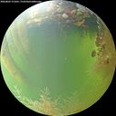 ./images/calvert/underwater/20260805/underwater20260805_171001M.jpg