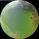 ./images/calvert/underwater/20260805/underwater20260805_174001M.jpg