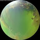 ./images/calvert/underwater/20260805/underwater20260805_174501M.jpg