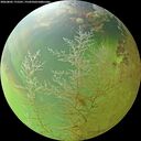 ./images/calvert/underwater/20260805/underwater20260805_175501M.jpg