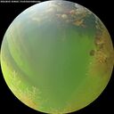 ./images/calvert/underwater/20260805/underwater20260805_184002M.jpg
