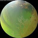 ./images/calvert/underwater/20260805/underwater20260805_185001M.jpg