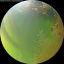 ./images/calvert/underwater/20260805/underwater20260805_185501M.jpg