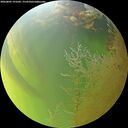./images/calvert/underwater/20260805/underwater20260805_191002M.jpg