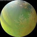 ./images/calvert/underwater/20260805/underwater20260805_191501M.jpg