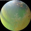 ./images/calvert/underwater/20260805/underwater20260805_192001M.jpg