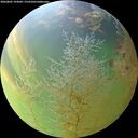 ./images/calvert/underwater/20260805/underwater20260805_193001M.jpg